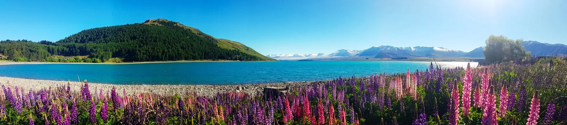 A clear blue lake bordered by colorful wildflowers, with a forested hill on the left and snow-capped mountains in the distance under a bright blue sky.